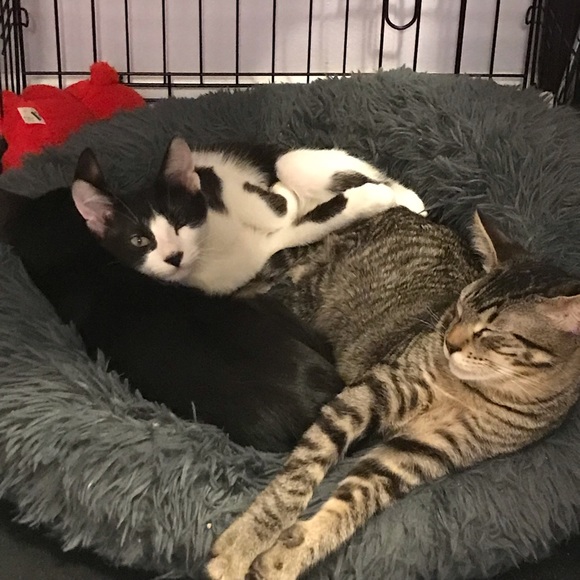 Meet your Posher, Angi - Picture 16 of 16